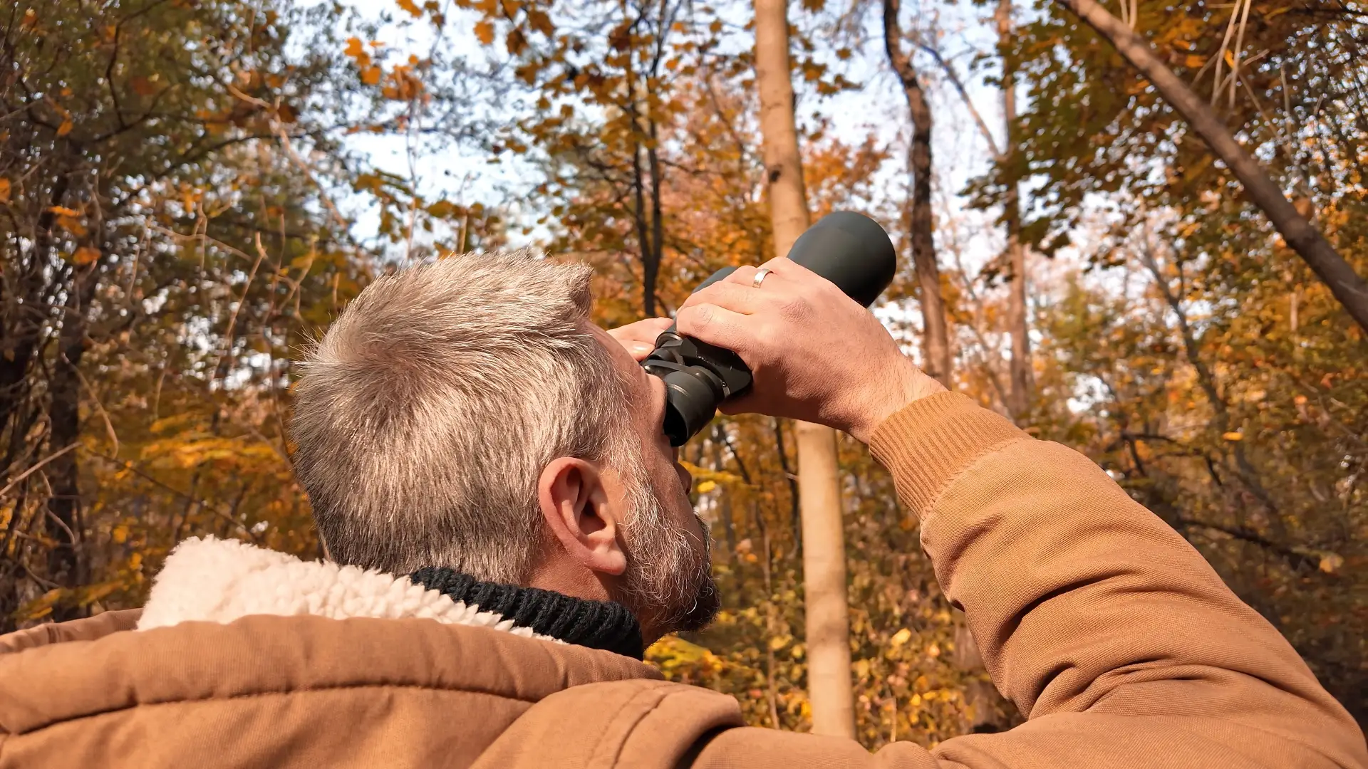 Birdwatching a Campagna Lupia