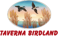 Logo Taverna Birdland